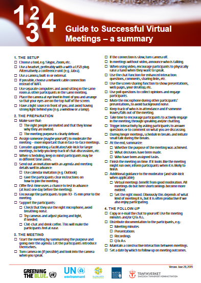 virtual meetings guide
