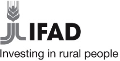 Logo for International Fund for Agricultural Development (IFAD)
