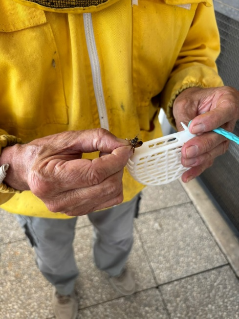 A person holding a small white basket with a bug

AI-generated content may be incorrect.